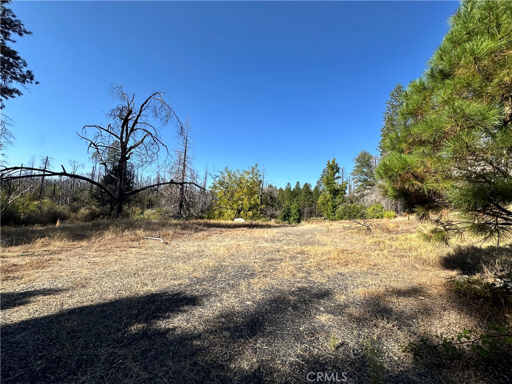 70 Graystone Lane Property Photo 12