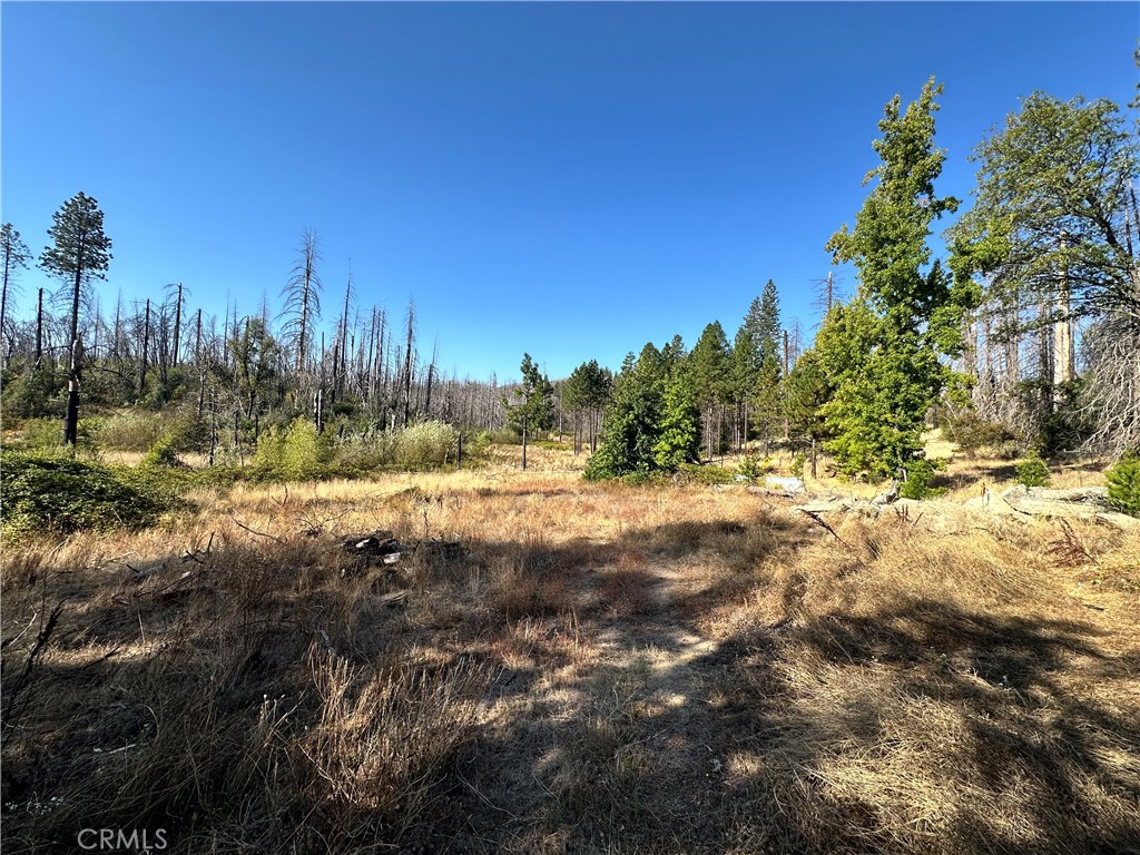 70 Graystone Lane Property Photo 13
