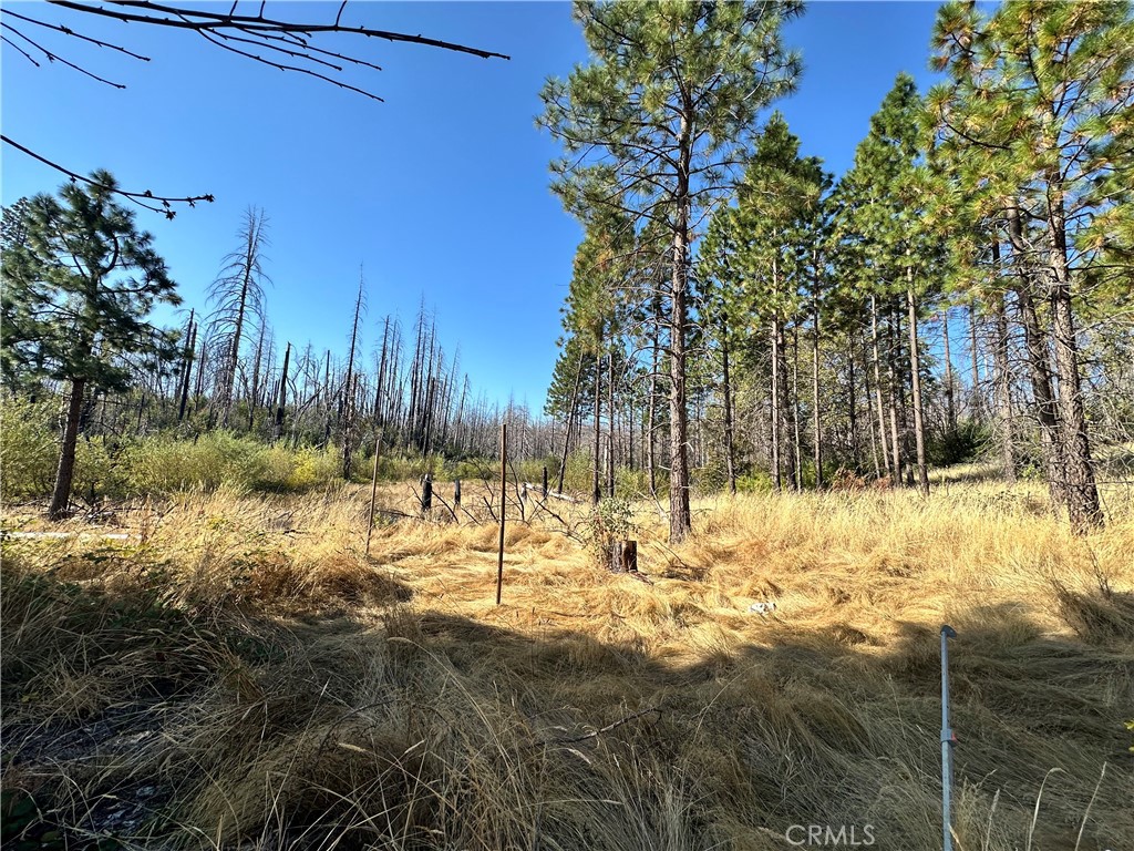 70 Graystone Lane Property Photo 14