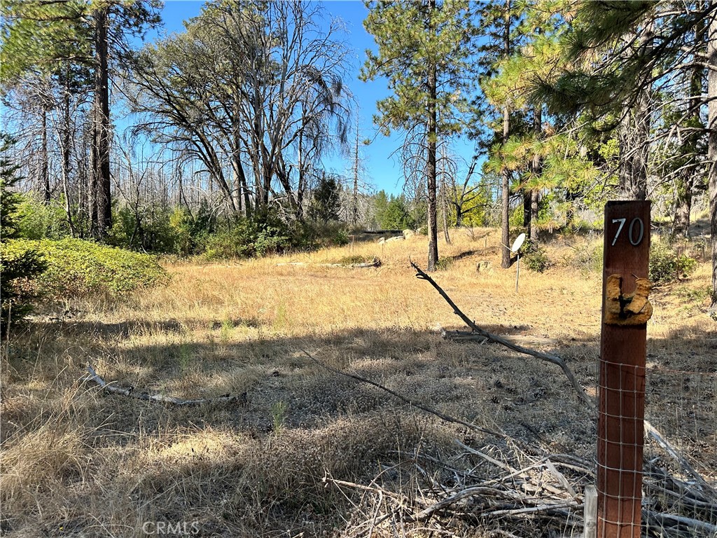 70 Graystone Lane Property Photo 15