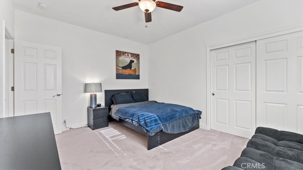 3536 Shadowtree Lane Property Photo 22