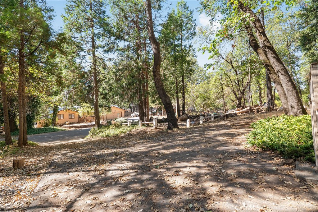 14239 Manatee Circle Property Photo 35
