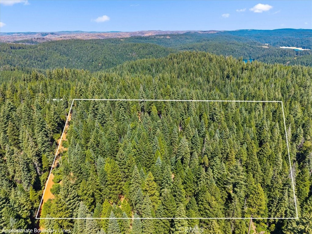 50 Colbus-alexander Lane Property Photo 1