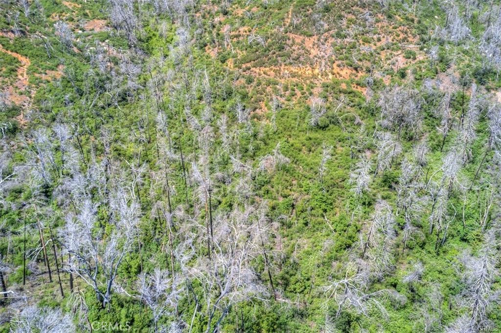 0 Lumpkin Road Property Photo 9