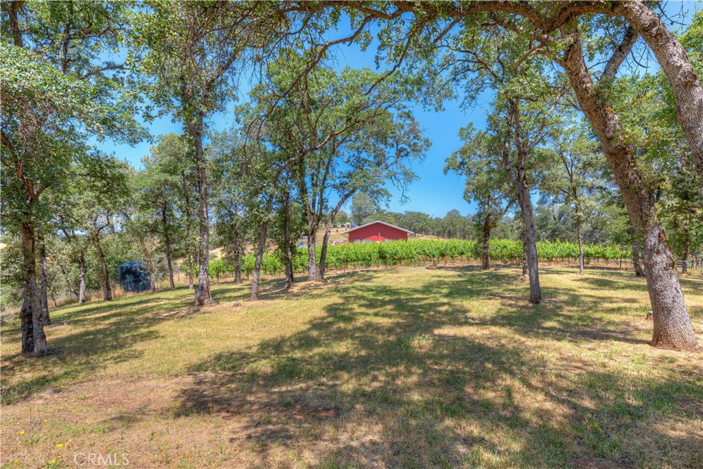 260 Orange Avenue Property Photo 38