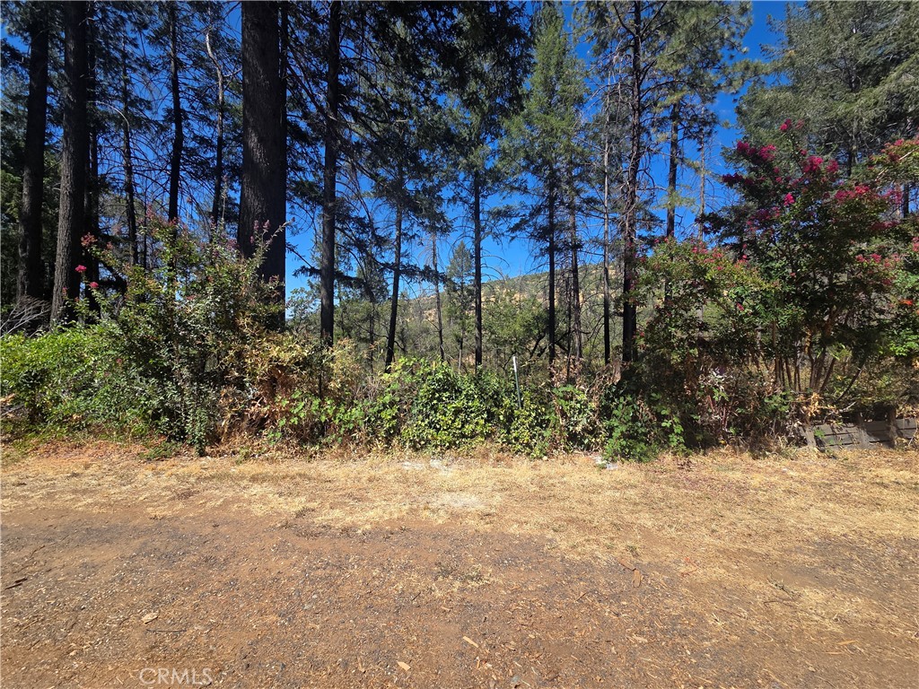 11605 Miller Peak Road Property Photo 3