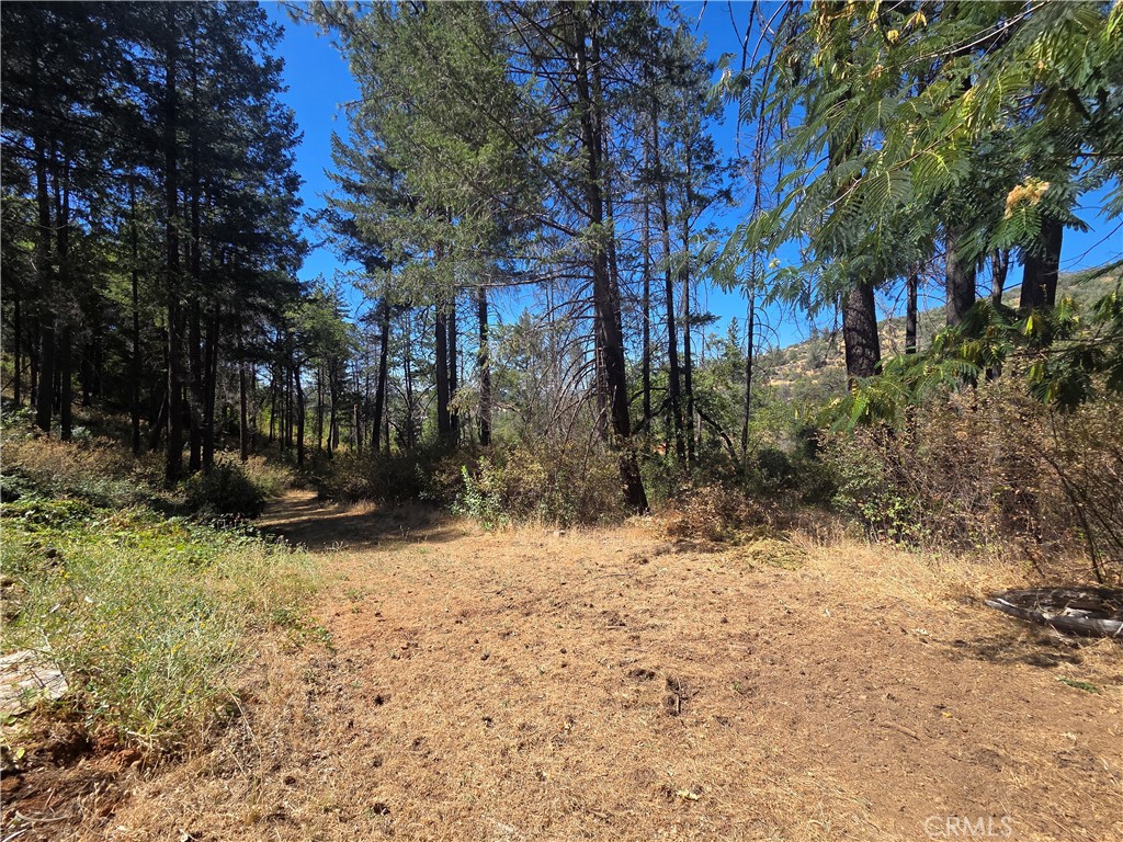 11605 Miller Peak Road Property Photo 4