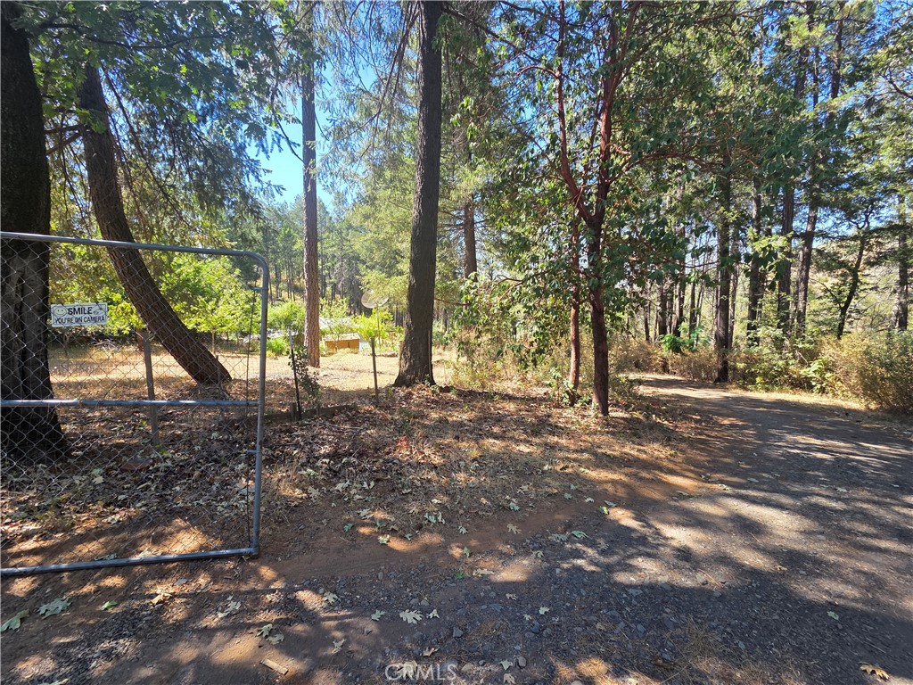 11605 Miller Peak Road Property Photo 5