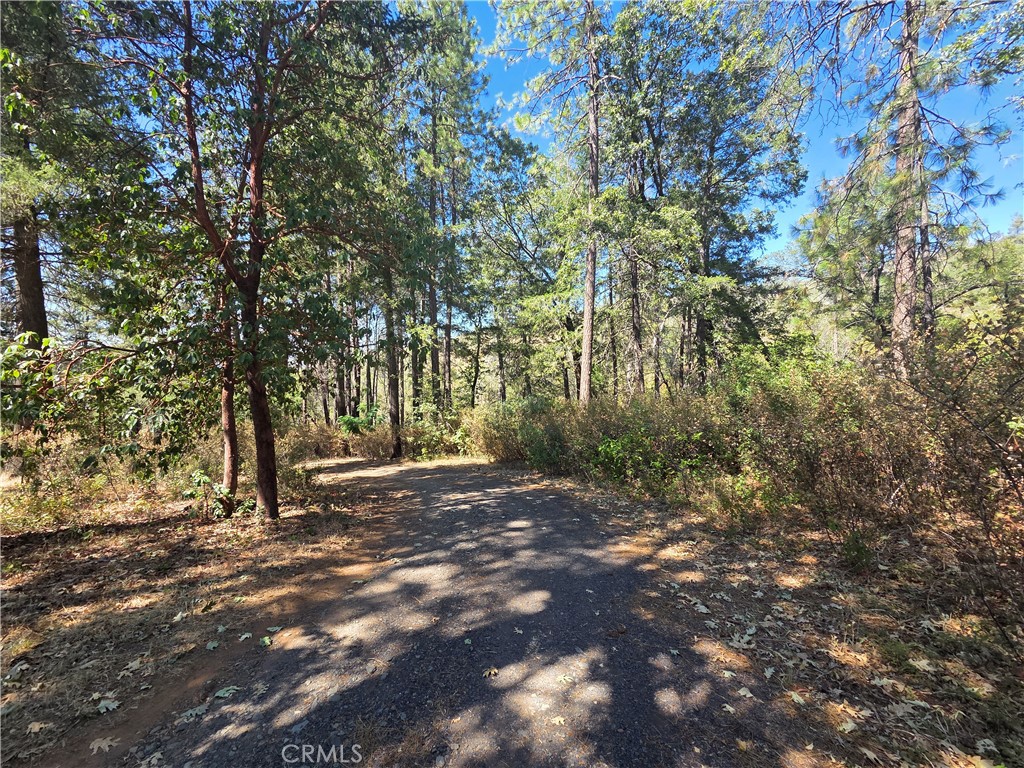11605 Miller Peak Road Property Photo 6