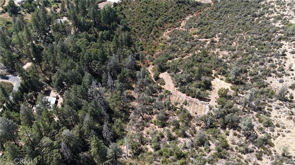 11605 Miller Peak Road Property Photo 28