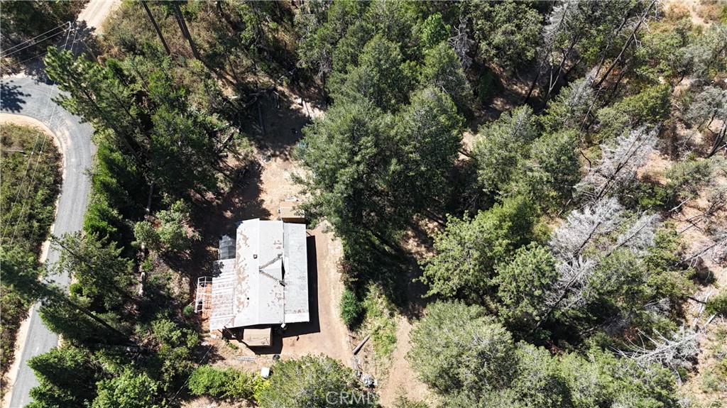 11605 Miller Peak Road Property Photo 29