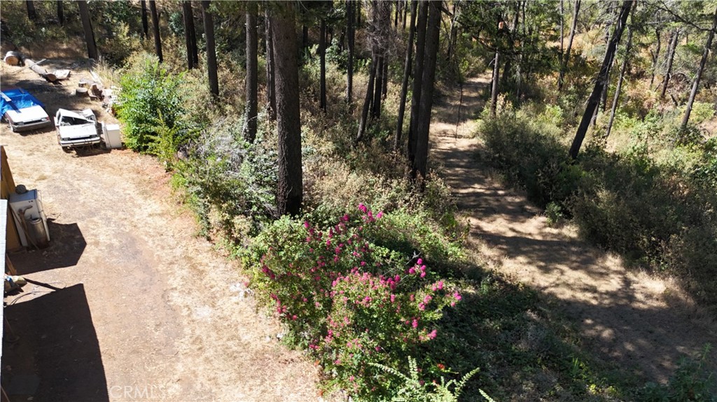 11605 Miller Peak Road Property Photo 38