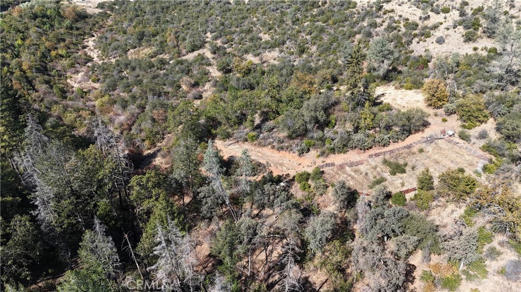 11605 Miller Peak Road Property Photo 41