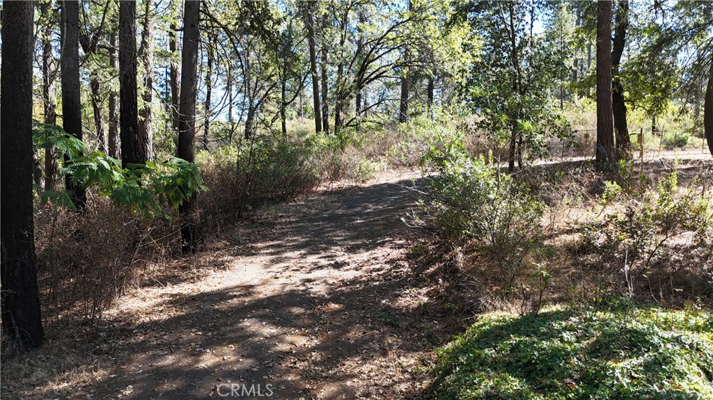 11605 Miller Peak Road Property Photo 43