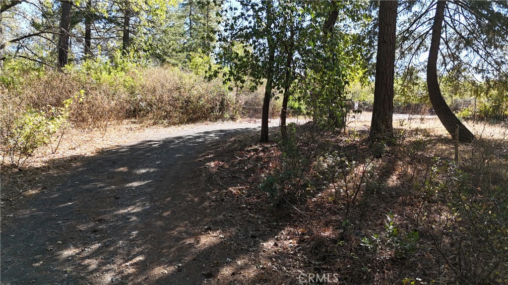 11605 Miller Peak Road Property Photo 44