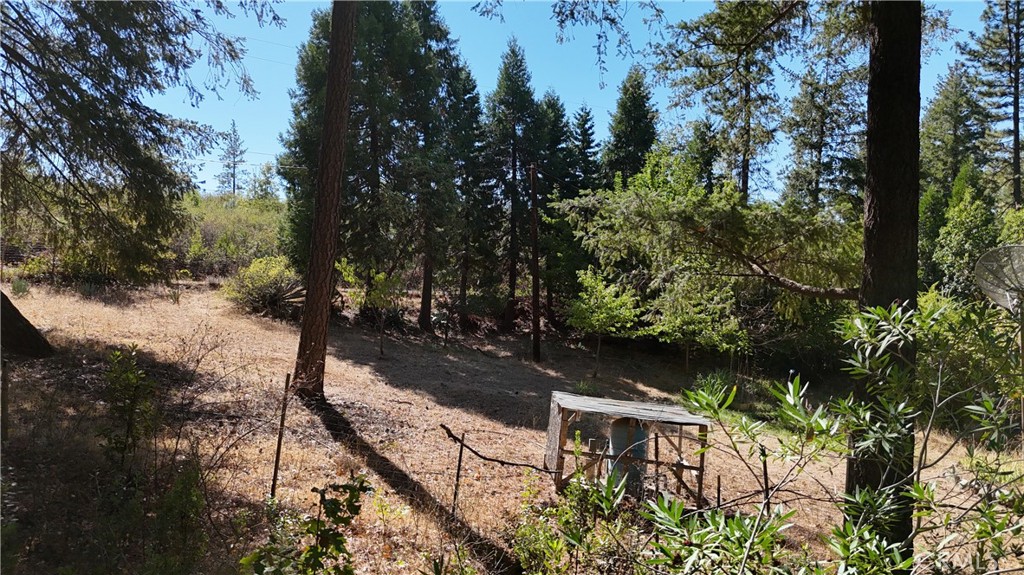 11605 Miller Peak Road Property Photo 45