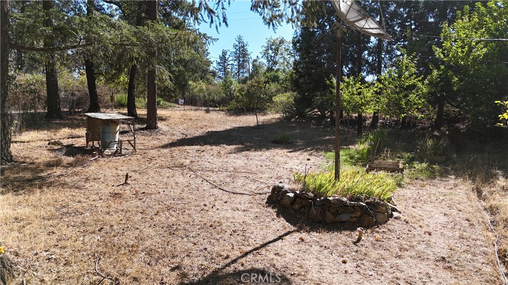 11605 Miller Peak Road Property Photo 46