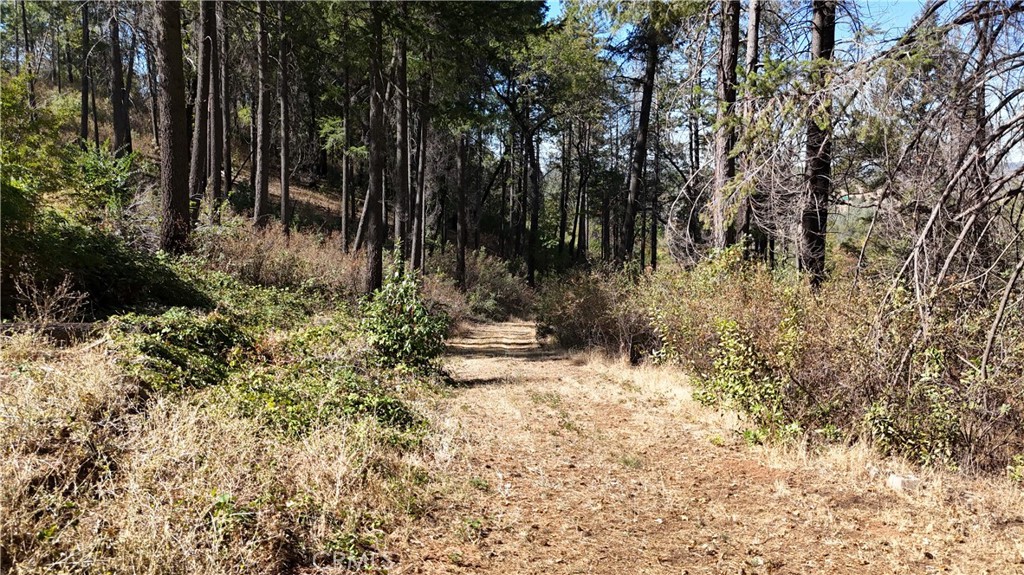 11605 Miller Peak Road Property Photo 47