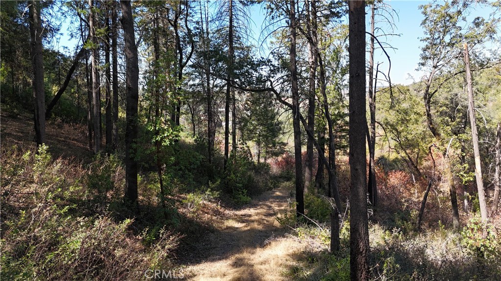 11605 Miller Peak Road Property Photo 48