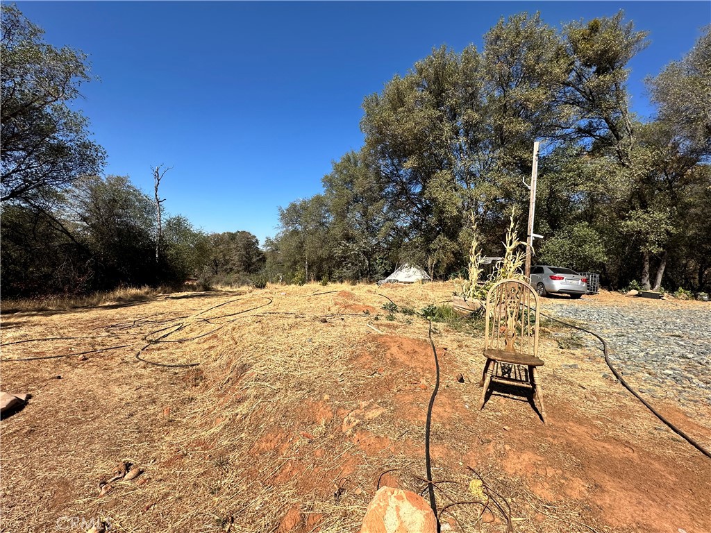 1403 Forbestown Property Photo 8