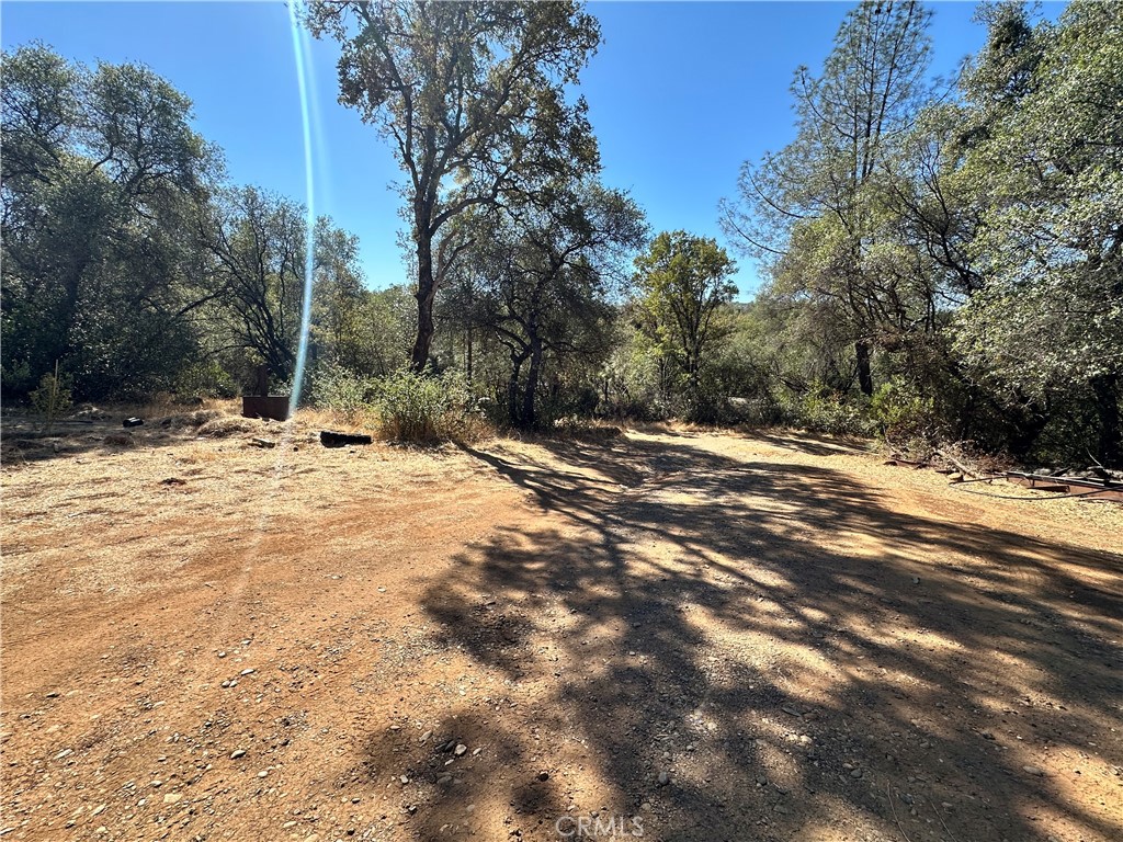 1403 Forbestown Property Photo 9
