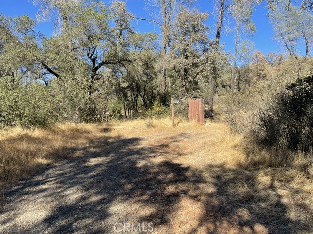 0 Hurleton Swedes Flat Road Property Photo 2
