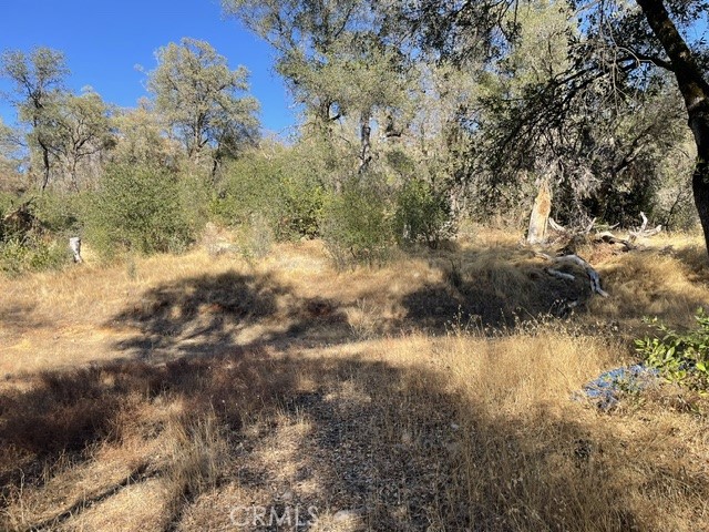 0 Hurleton Swedes Flat Road Property Photo 3