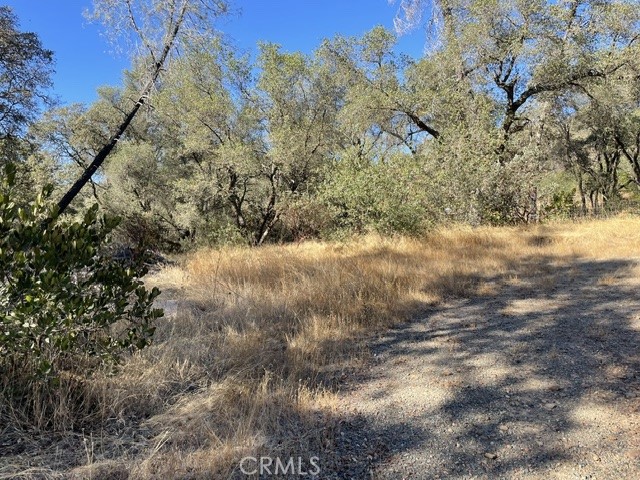 0 Hurleton Swedes Flat Road Property Photo 9