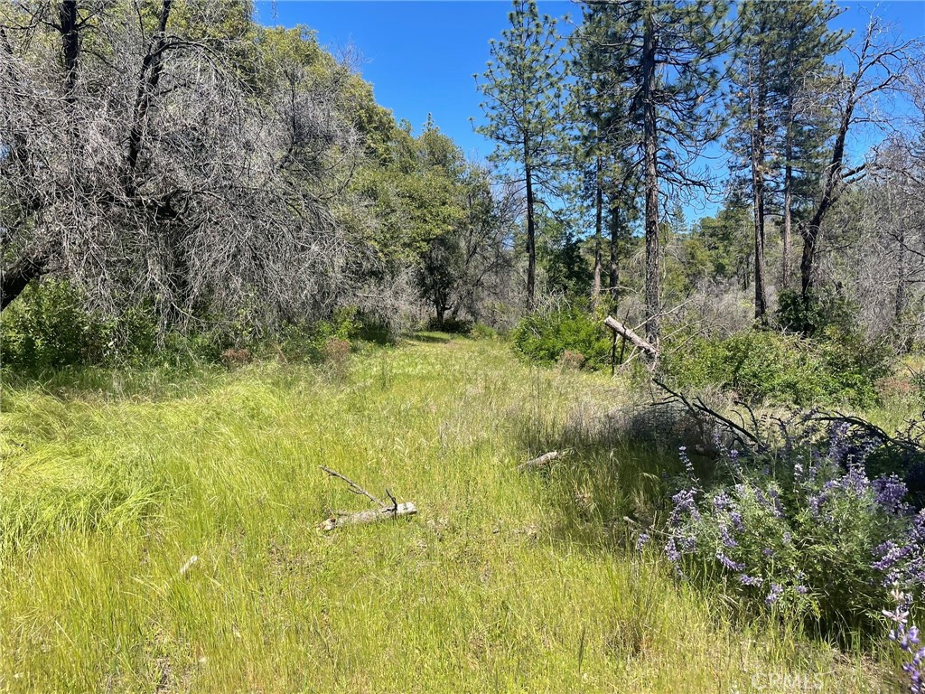 0 Lumpkin Road Property Photo 3