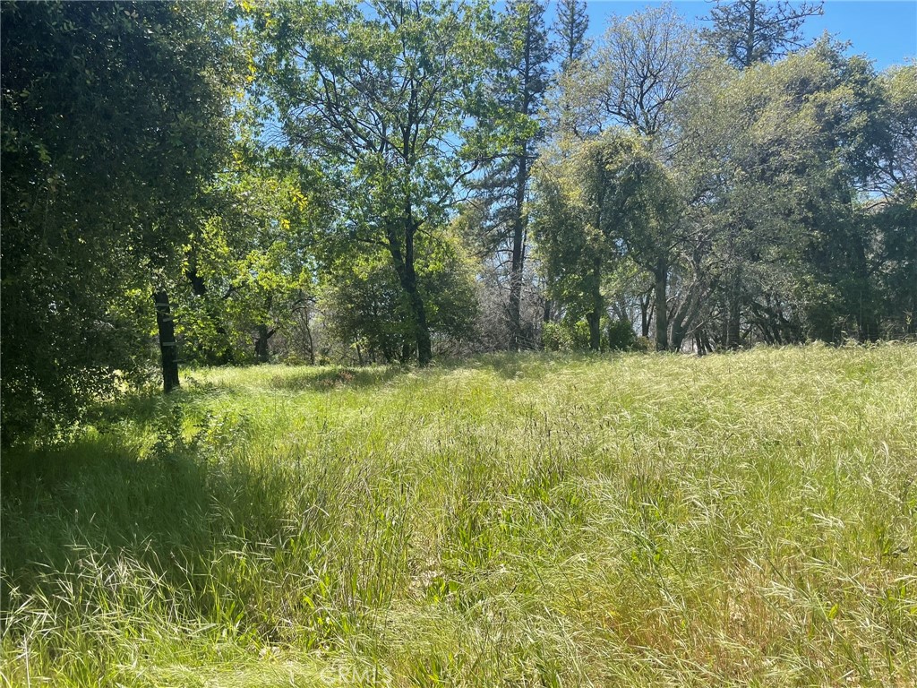 0 Lumpkin Road Property Photo 4