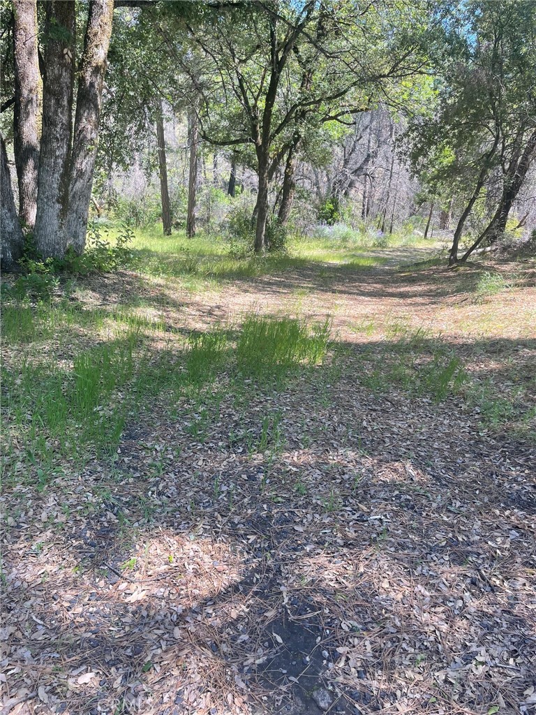 0 Lumpkin Road Property Photo 5