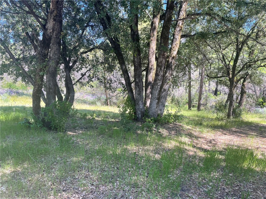 0 Lumpkin Road Property Photo 6
