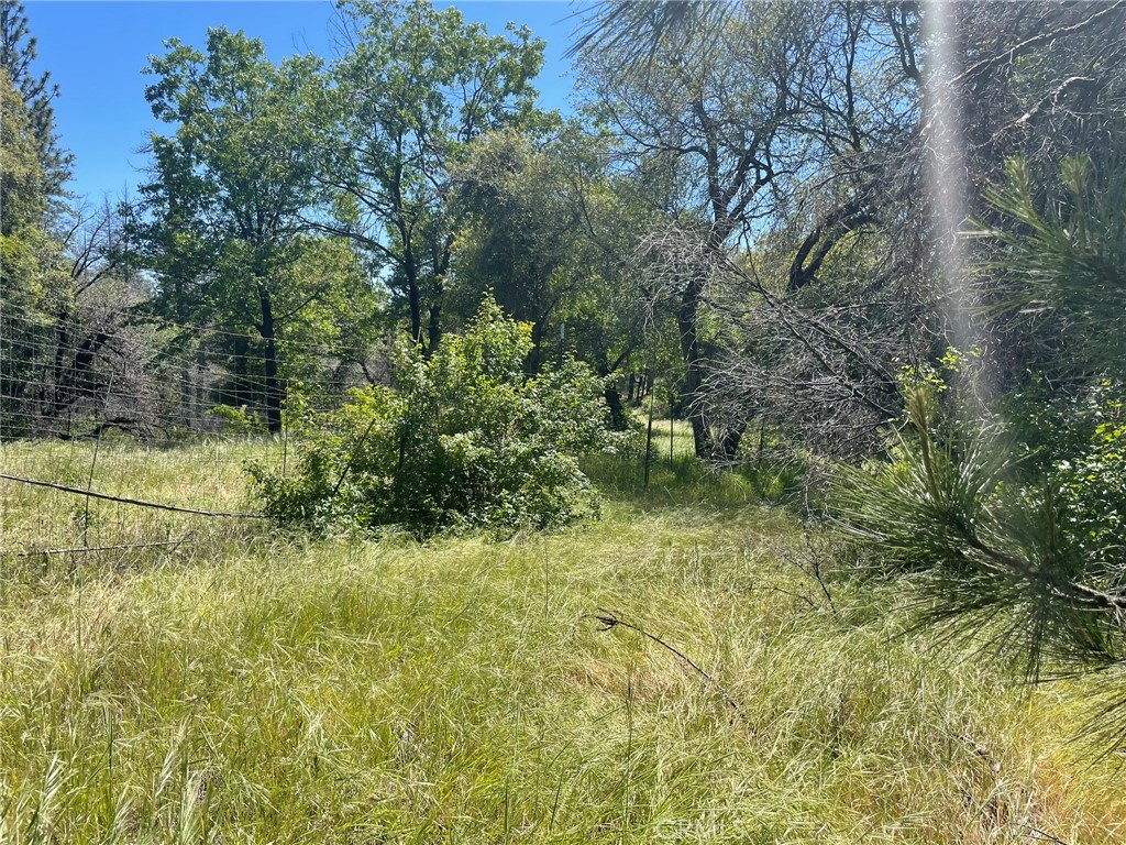 0 Lumpkin Road Property Photo 8