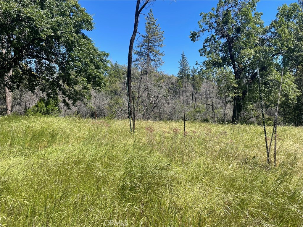 0 Lumpkin Road Property Photo 9