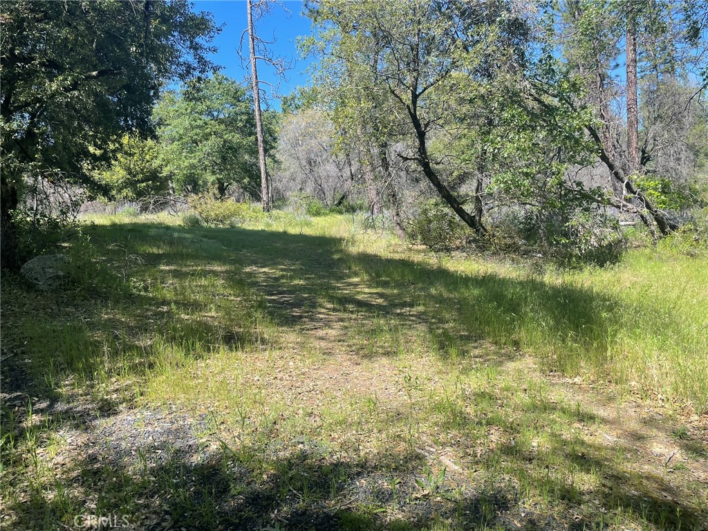 0 Lumpkin Road Property Photo 15