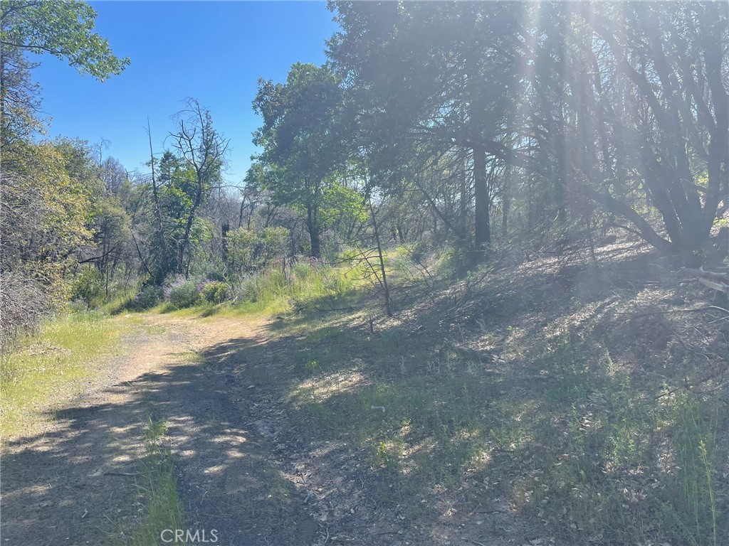 0 Lumpkin Road Property Photo 17