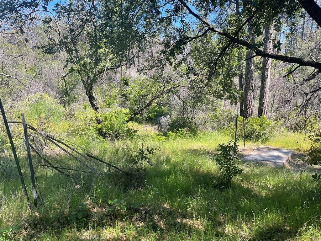 0 Lumpkin Road Property Photo 19