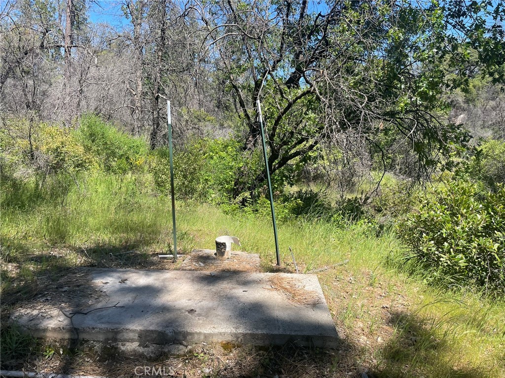 0 Lumpkin Road Property Photo 20