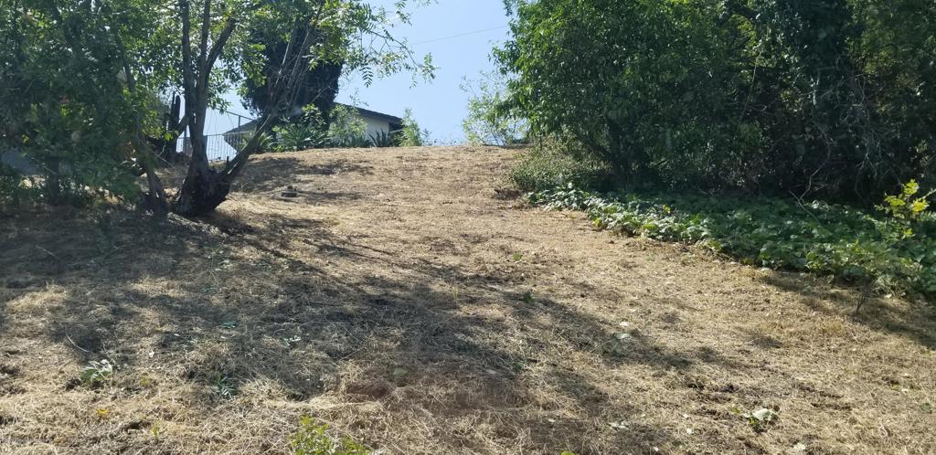 Lavell Drive Property Photo 1