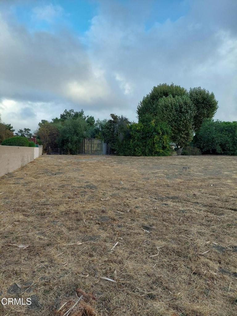 2025 Royal Avenue