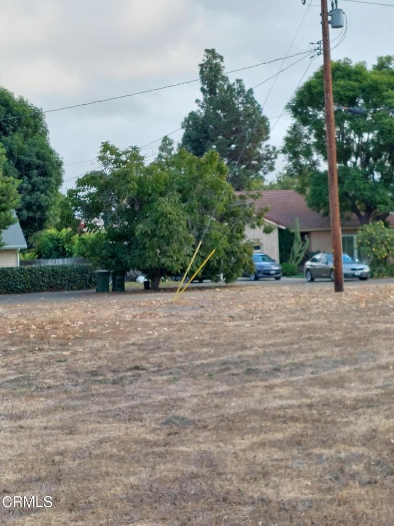 2025 Royal Avenue Property Photo 6