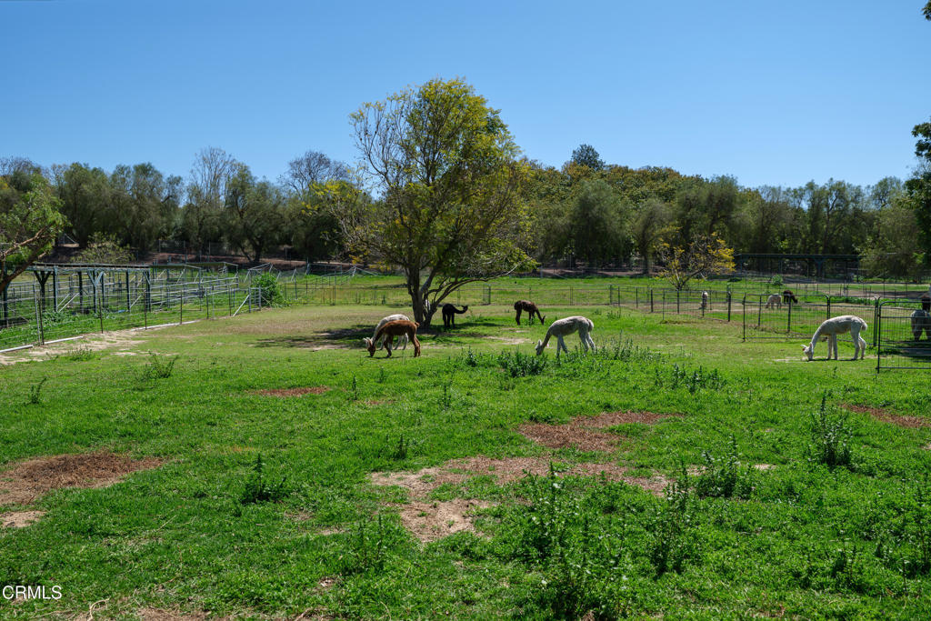 7660 Bradley Road Property Photo 37