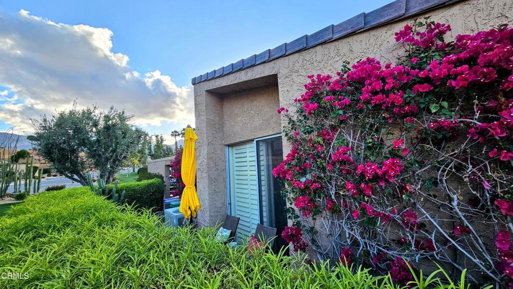 48940 Phlox Place Property Photo 31