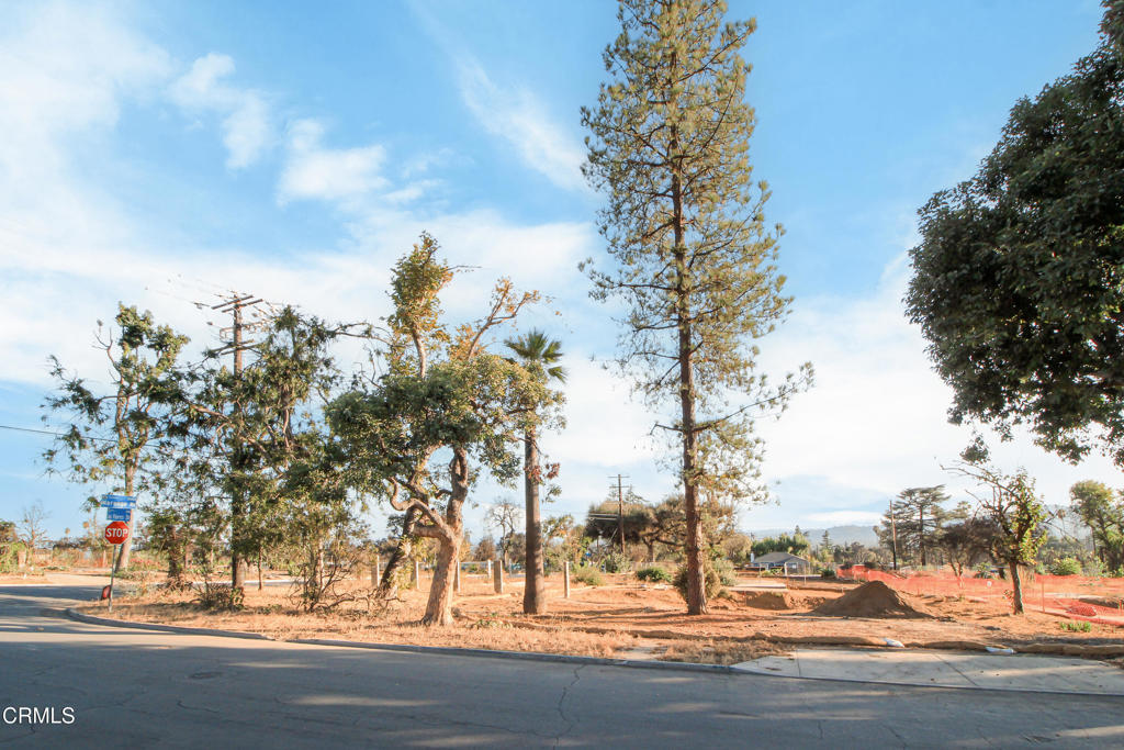 344 E Las Flores Drive Property Photo 4