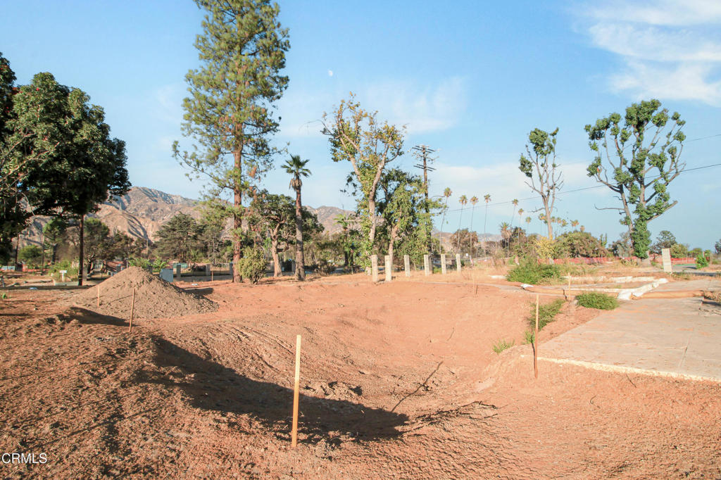 344 E Las Flores Drive Property Photo 6