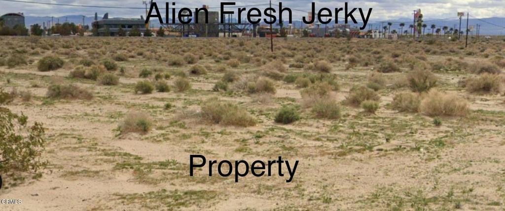 56501 Death Valley Road Property Photo 9