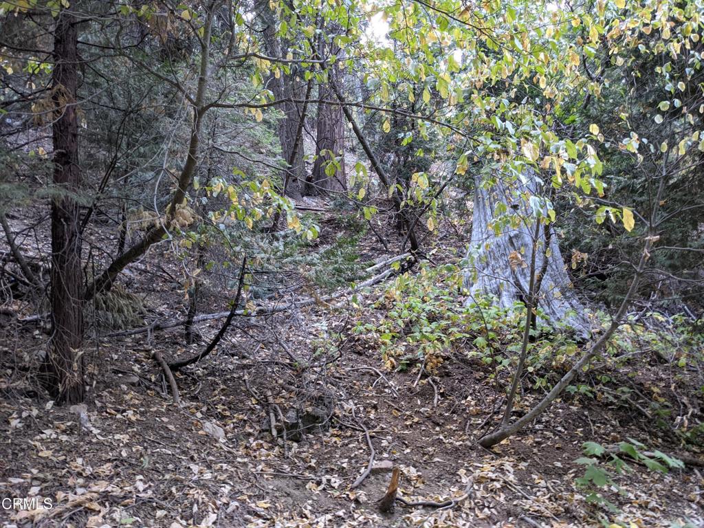 0 Fleming Creek Property Photo 3