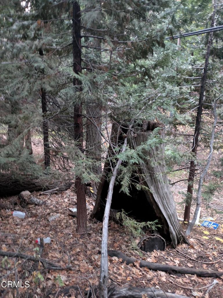 0 Fleming Creek Property Photo 4