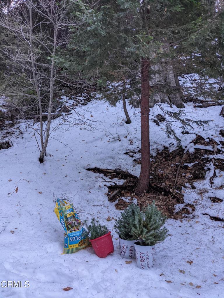 0 Fleming Creek Property Photo 6
