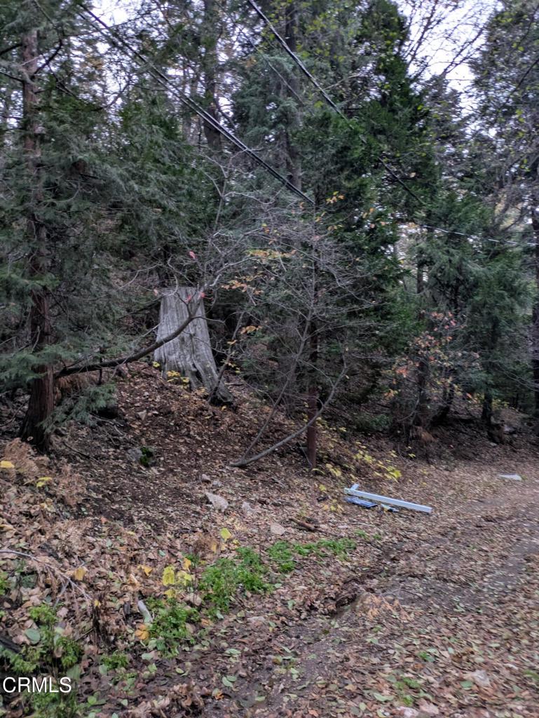 0 Fleming Creek Property Photo 7